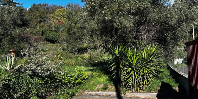 20251129124533-1005495-4