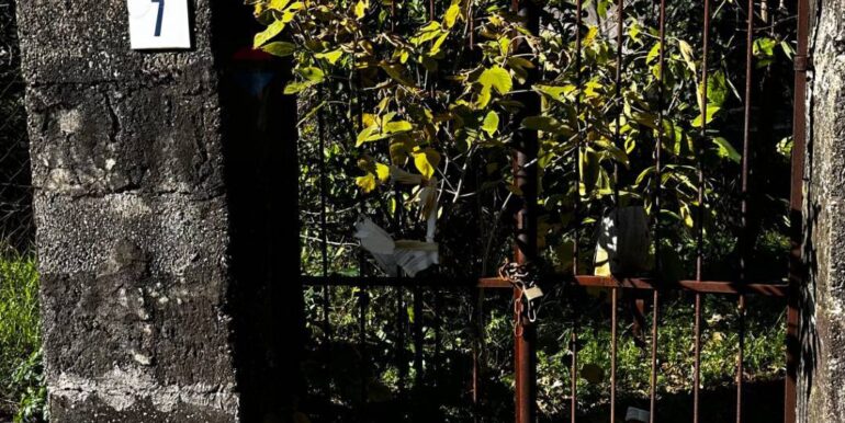 20251129170746-1003586-4