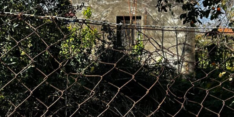 20251129170750-1003586-5