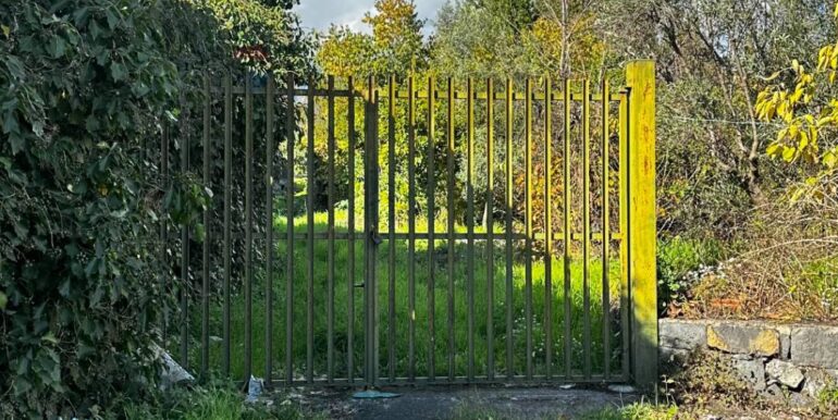 20251129170800-1003586-8