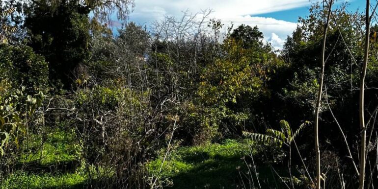 20251129170814-1003586-11