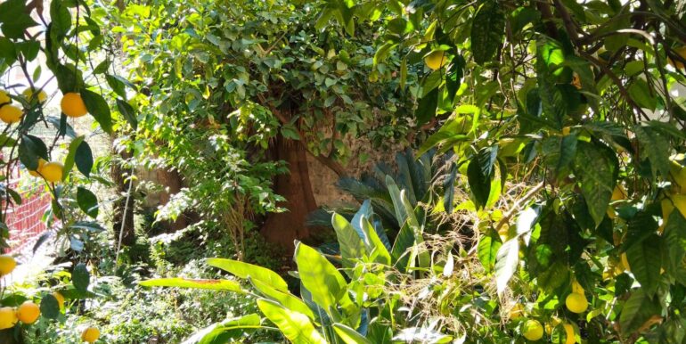 20251130135255-1005518-15