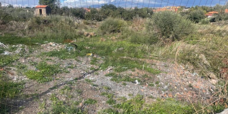 20251201113519-1005667-1