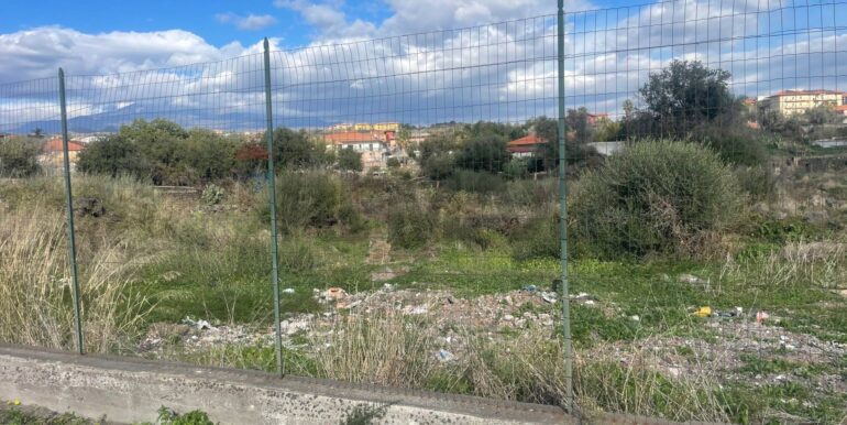 20251201113525-1005667-2