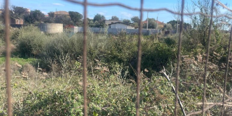 20251201113529-1005667-3