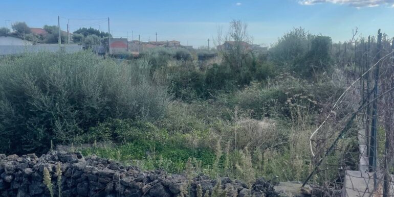 20251201113534-1005667-4