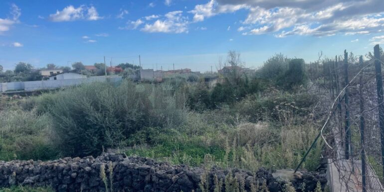 20251201113537-1005667-5