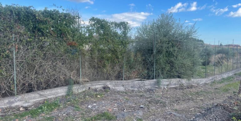 20251201113542-1005667-6