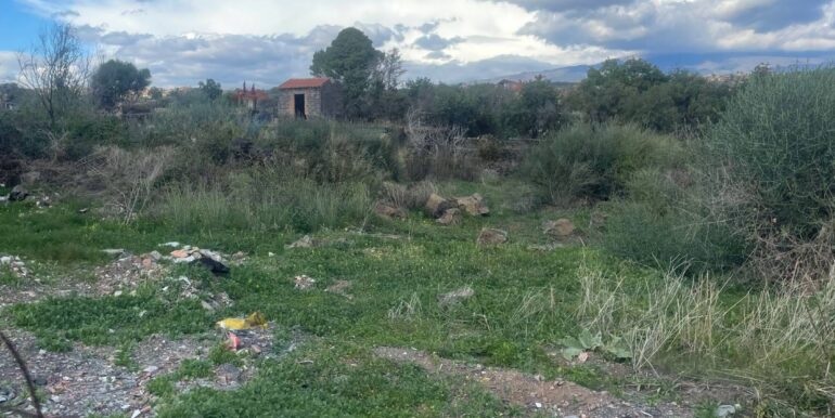 20251201113551-1005667-8