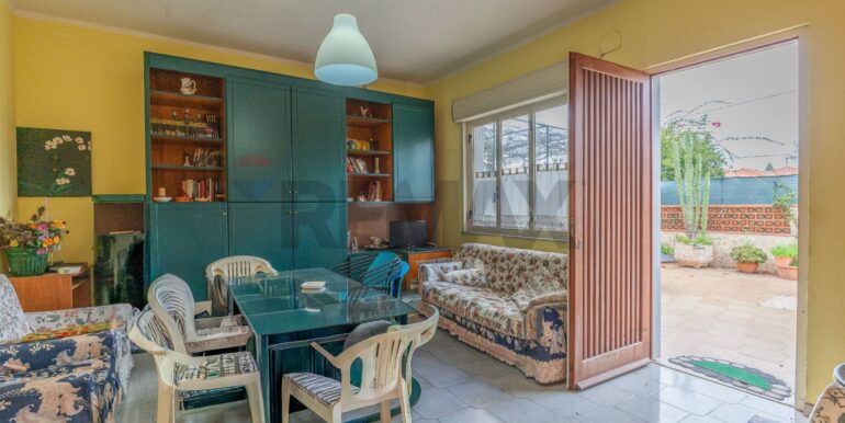 2025120194145-1005353-8