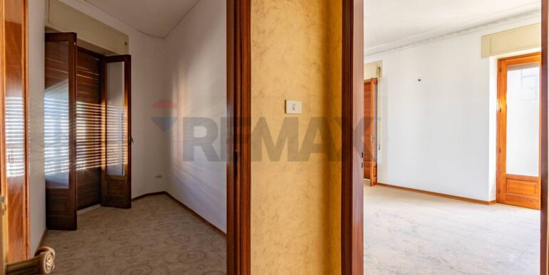 2025120195058-1004244-9