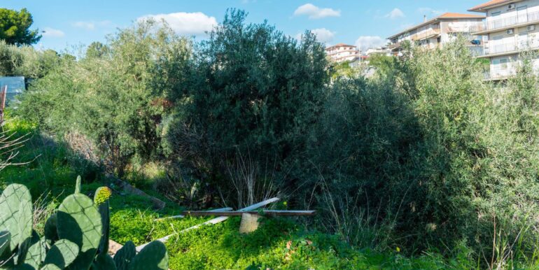 20251202153856-1005958-2