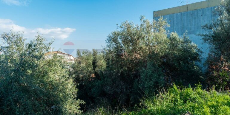 20251202153902-1005958-4