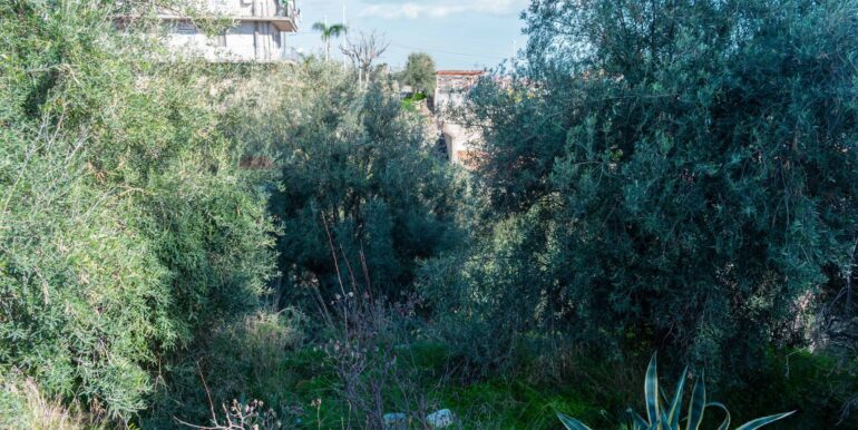 20251202153906-1005958-5