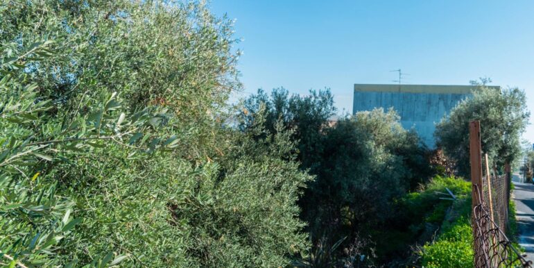 20251202153910-1005958-6