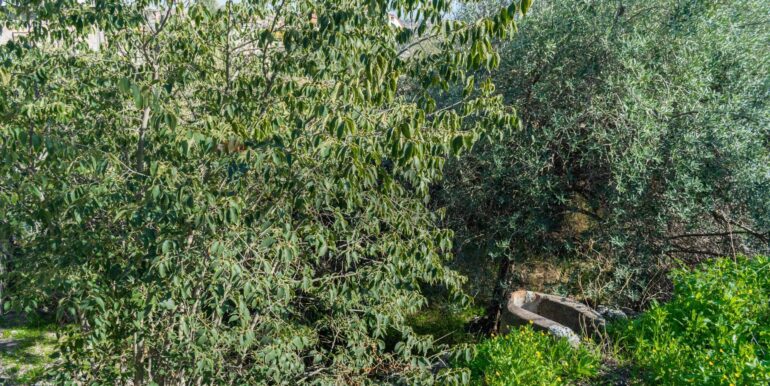 20251202153913-1005958-7