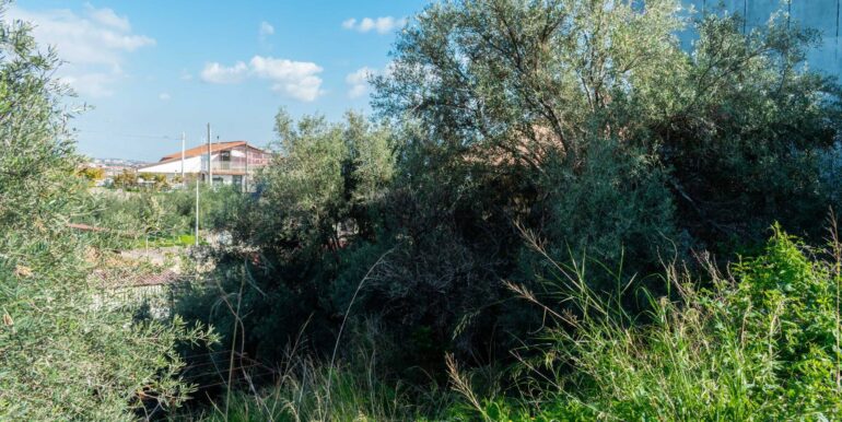 20251202153920-1005958-9