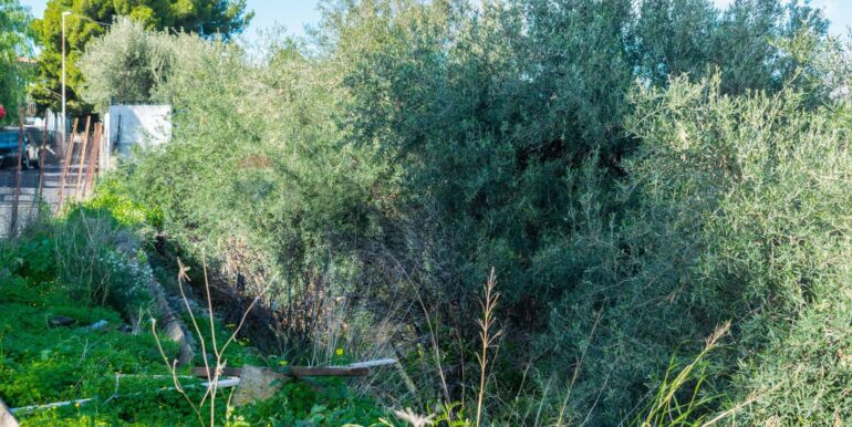 20251202153930-1005958-12