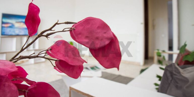 20251203160256-1006177-5