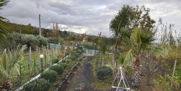 20251203175313-1006208-13