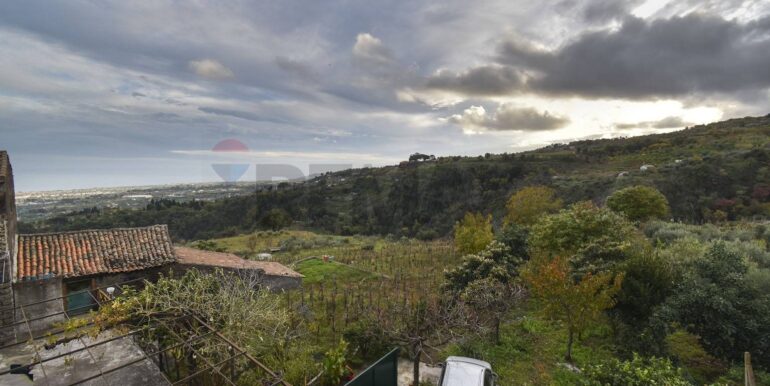 20251203175343-1006208-24