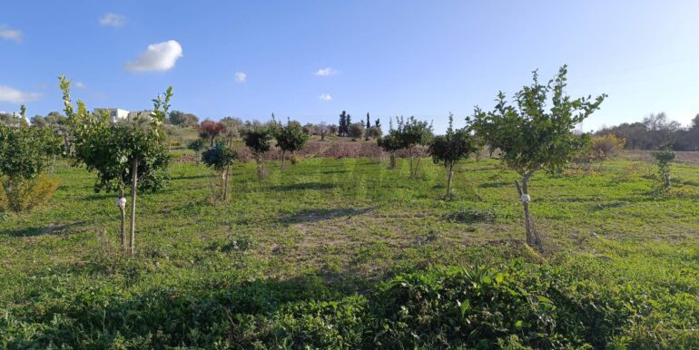 20251204103521-1006333-8