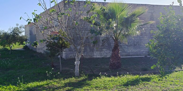 20251204103532-1006333-11