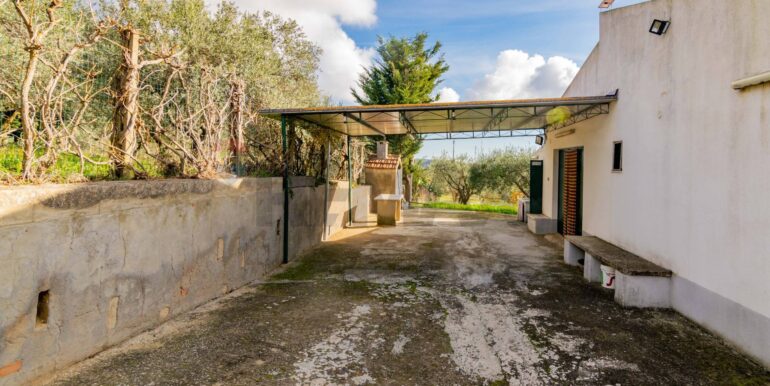 2025120483809-1000693-5