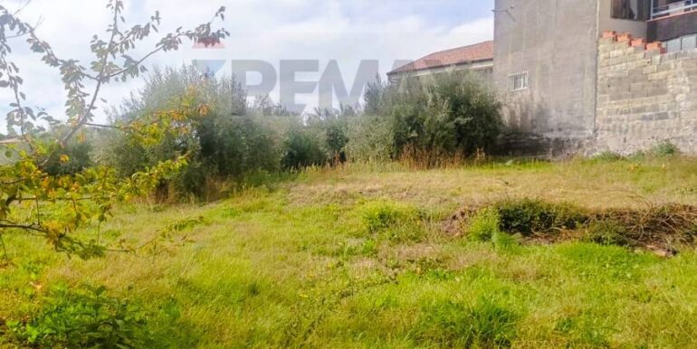 20251205102545-1005870-5