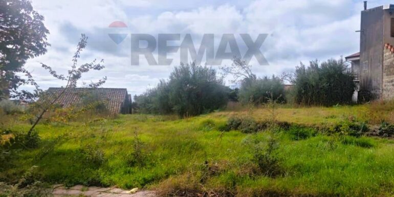 20251205102553-1005870-8