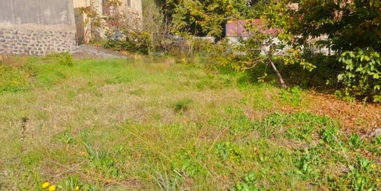 20251205102556-1005870-9