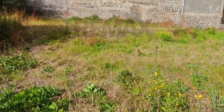 20251205102558-1005870-10