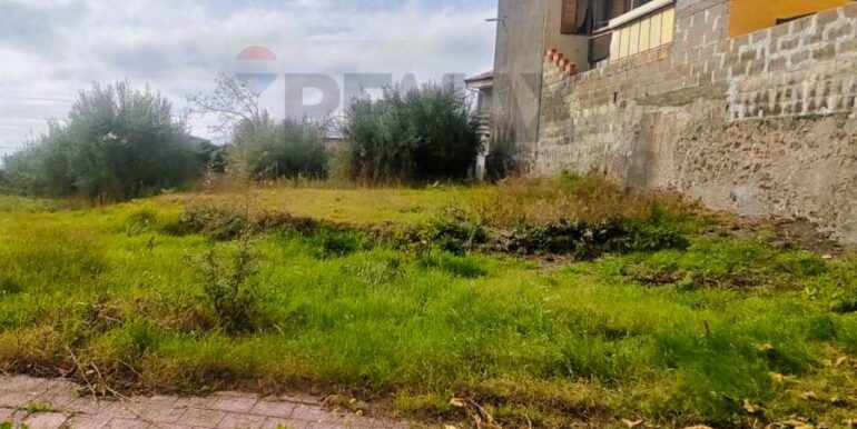 20251205102601-1005870-11