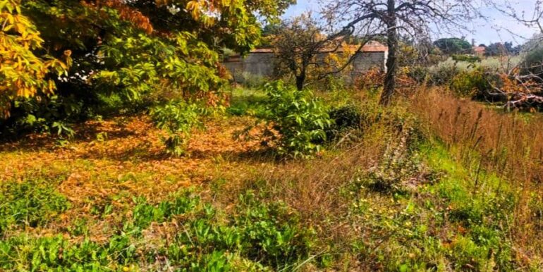 20251205102612-1005870-15