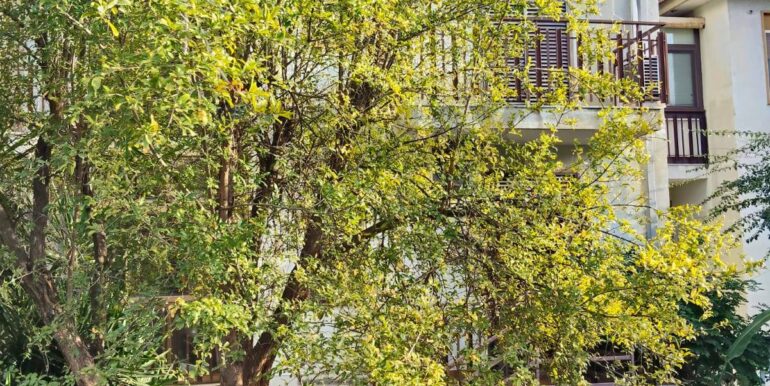 2025120792811-1007925-1