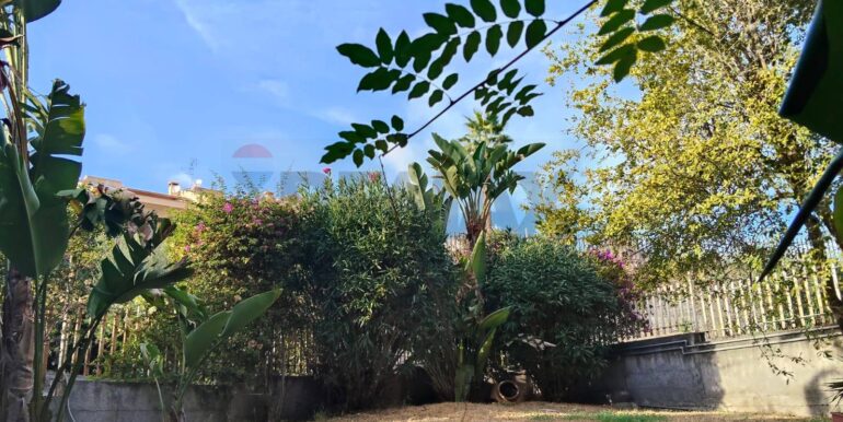 2025120792827-1007925-5