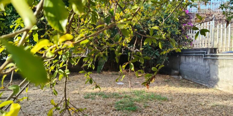 2025120792830-1007925-6