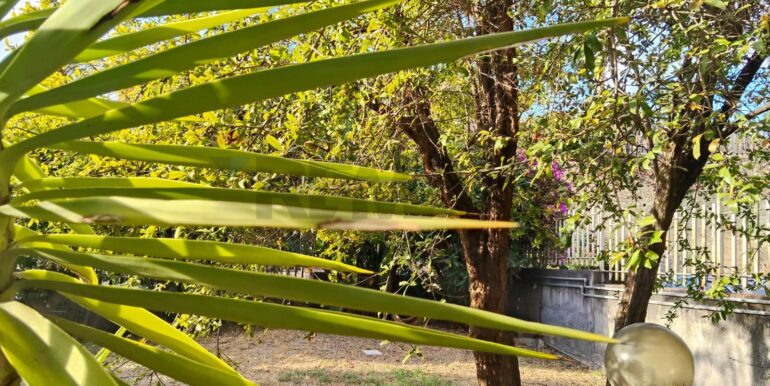 2025120792834-1007925-7