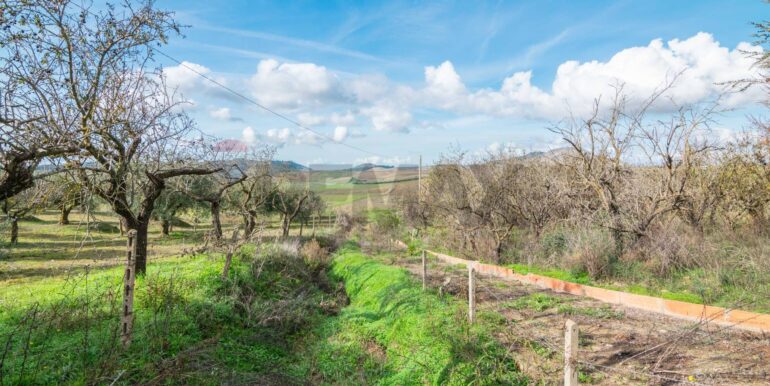 2025120894955-1007943-1