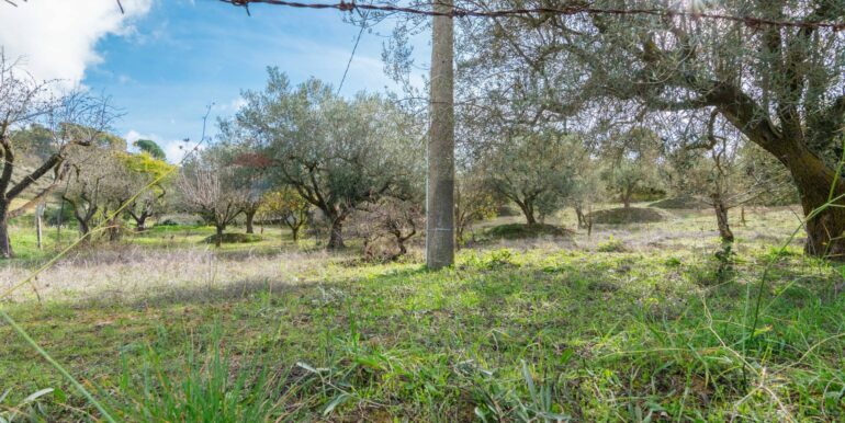 2025120895004-1007943-3