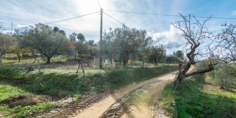 2025120895007-1007943-4