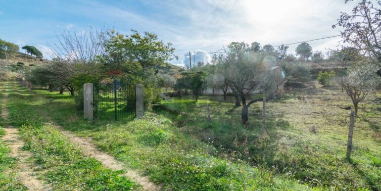 2025120895011-1007943-5