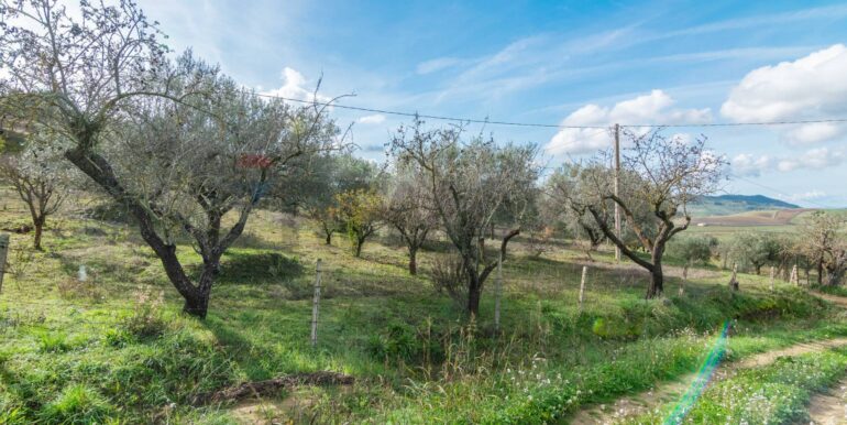 2025120895015-1007943-6