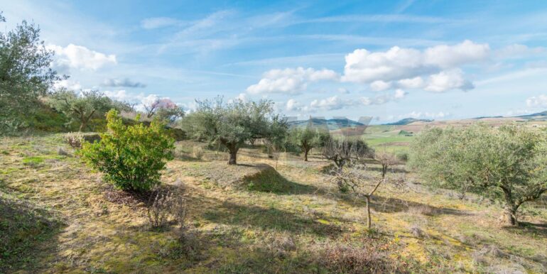 2025120895018-1007943-7