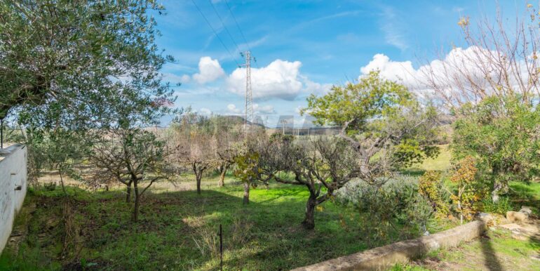 2025120895025-1007943-9