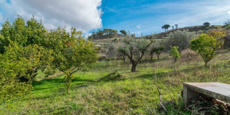 2025120895029-1007943-10