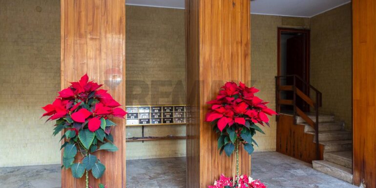 20251209115313-1007998-9