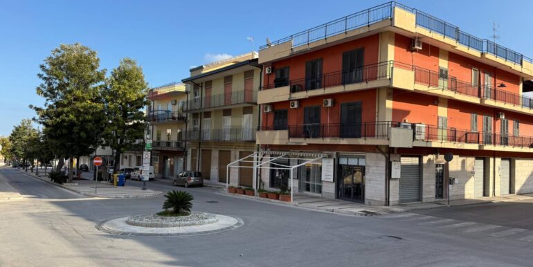 20251209160841-1008055-1