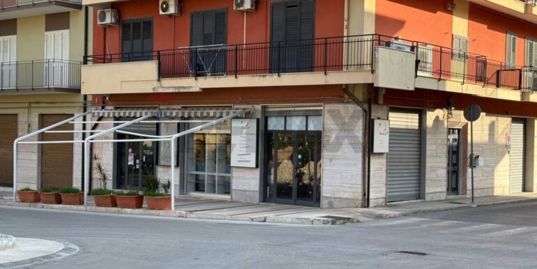 20251209160846-1008055-2