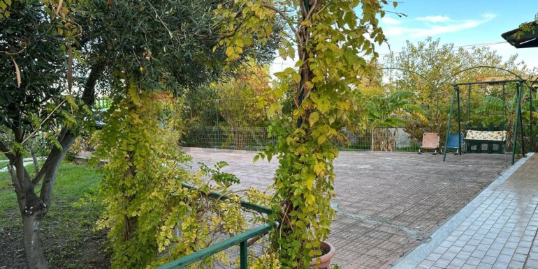 20251209183712-1008526-5